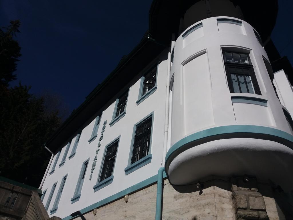 Hotel Tantzi Сіная Екстер'єр фото