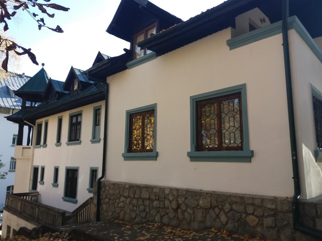Hotel Tantzi Сіная Екстер'єр фото