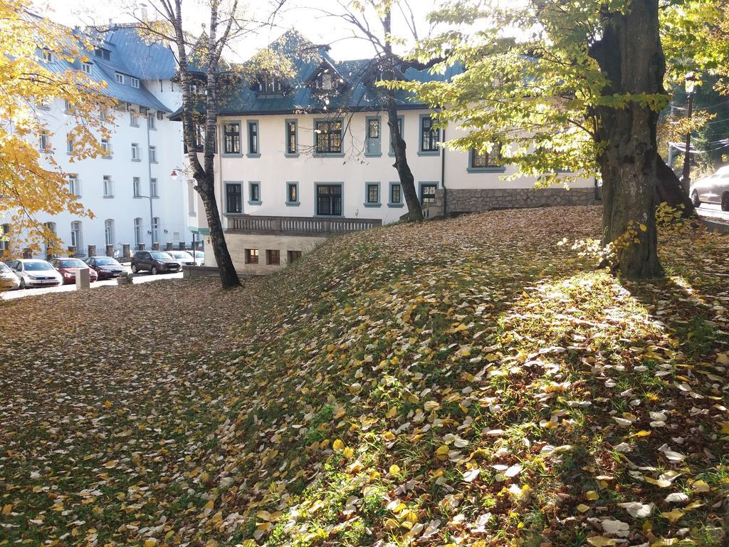 Hotel Tantzi Сіная Екстер'єр фото
