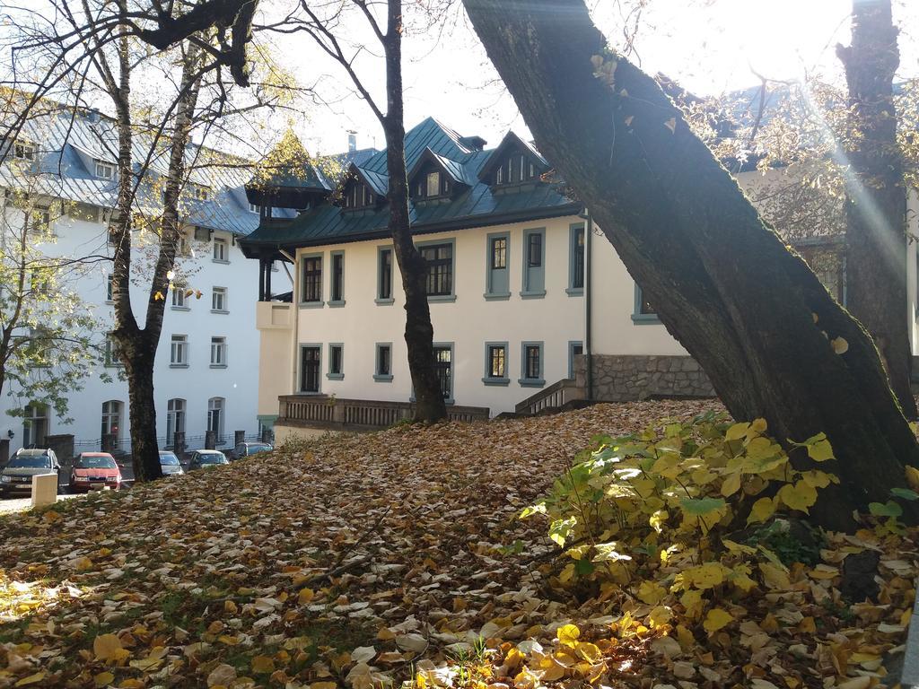 Hotel Tantzi Сіная Екстер'єр фото